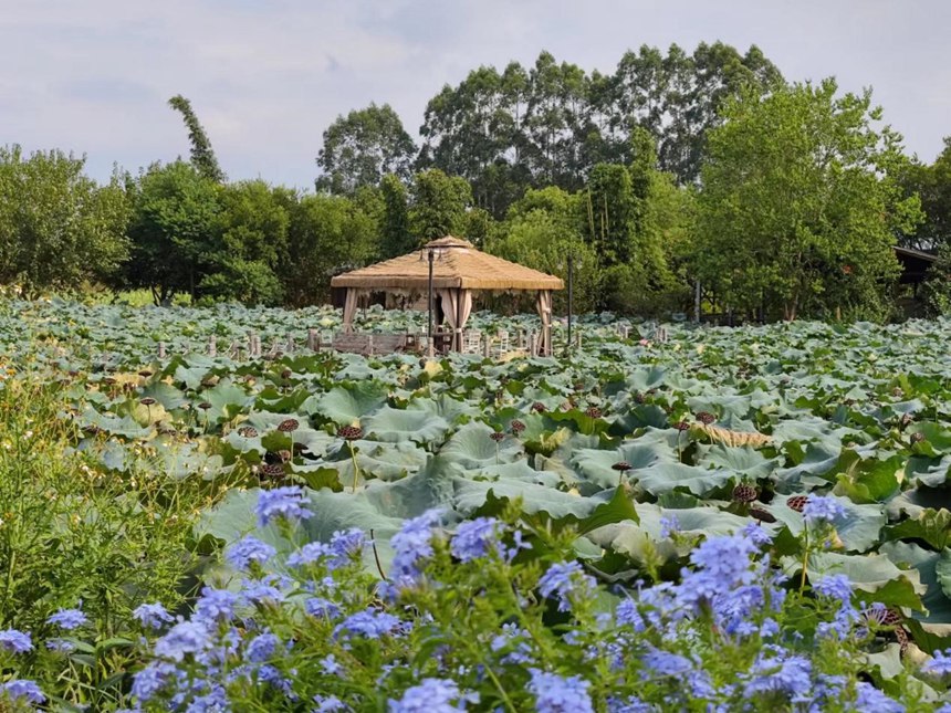 C7���ֹ���-�����ɼ��Ƿ�,����Ʒ�Ƶ�ʵ��