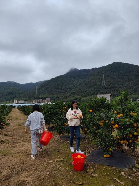 C7���ֹ���-�����ɼ��Ƿ�,����Ʒ�Ƶ�ʵ��