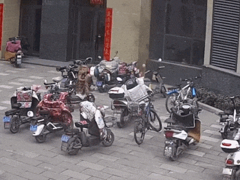 C7���ֹ���-�����ɼ��Ƿ�,����Ʒ�Ƶ�ʵ��